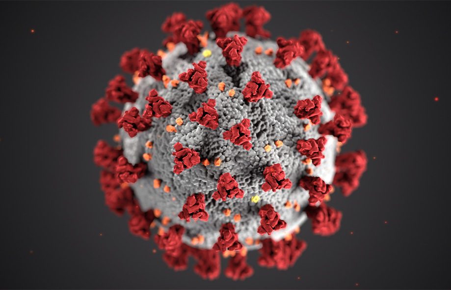 Coronavirus (COVID-19) Guidance